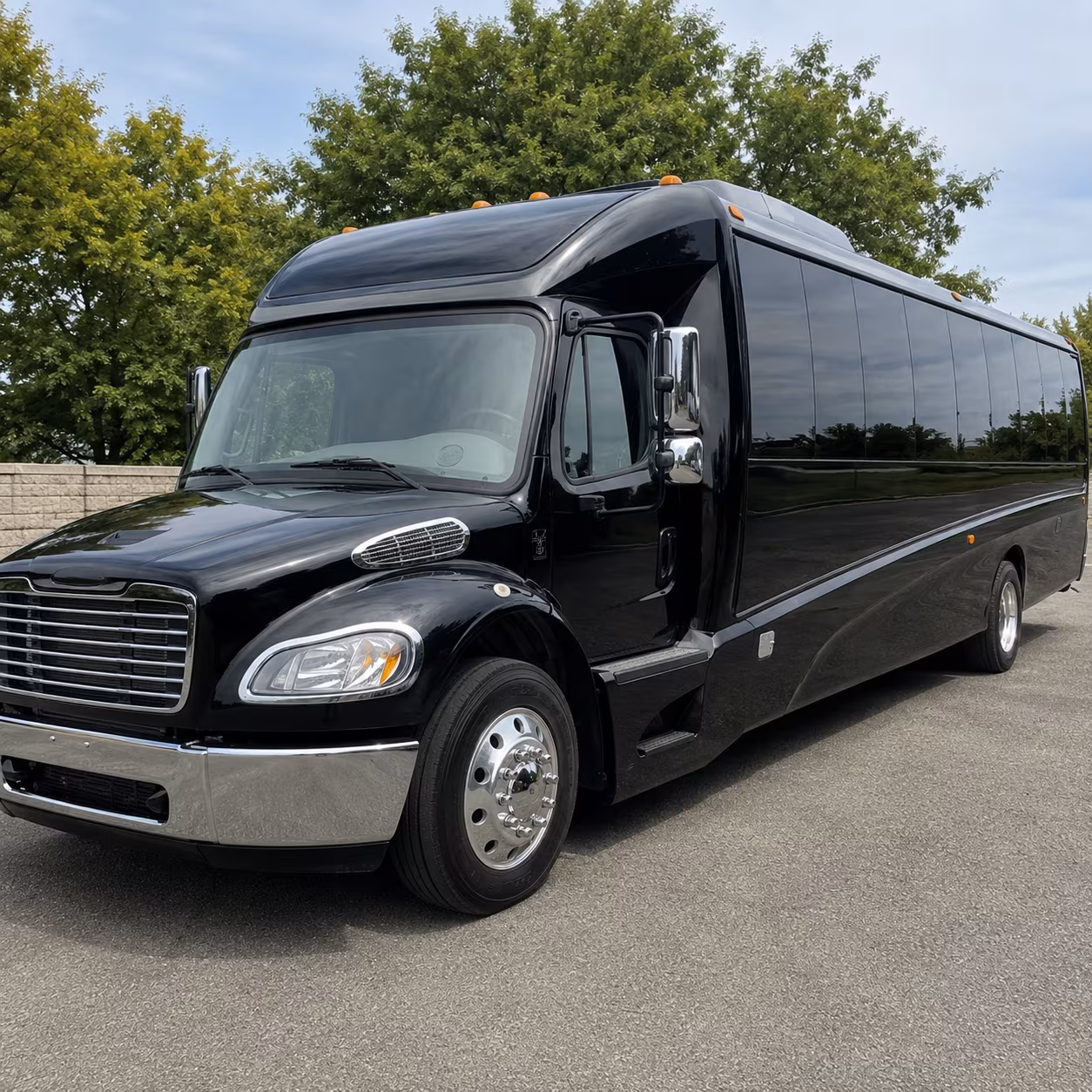 brookline 15 passenger minibus