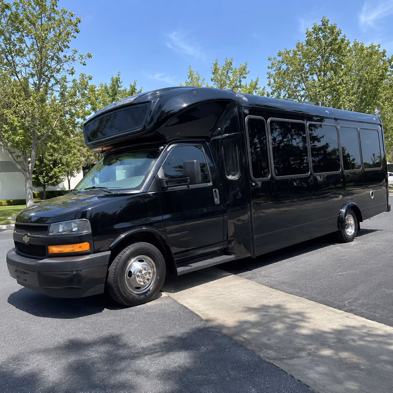brookline 15 passenger party bus